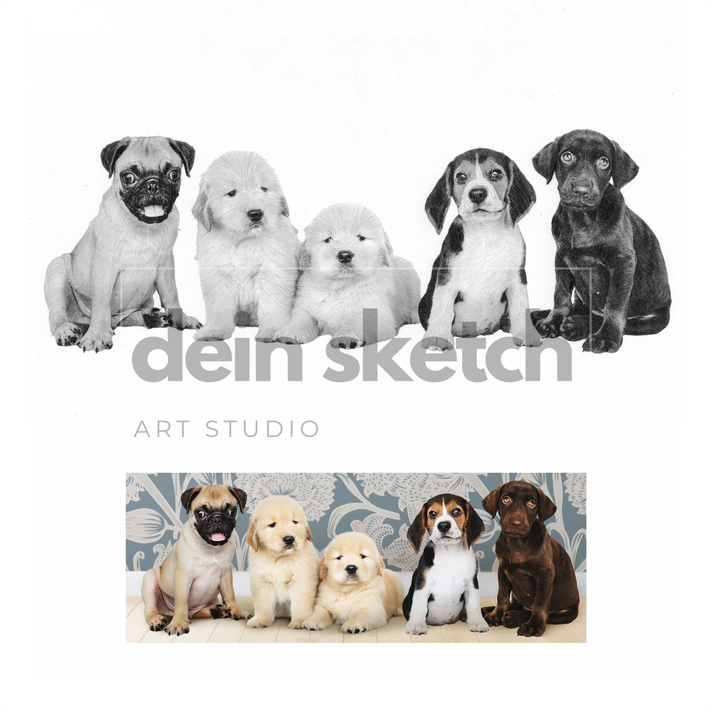 Bleistift Portrait - ganzer Körper - Tier